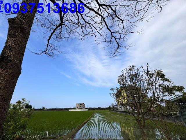 壯圍農地-7