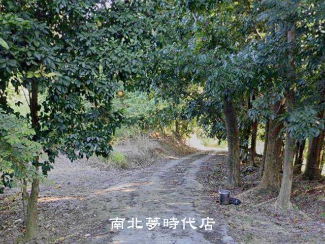 台南農地-1