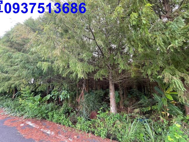 宜蘭員山農地-5