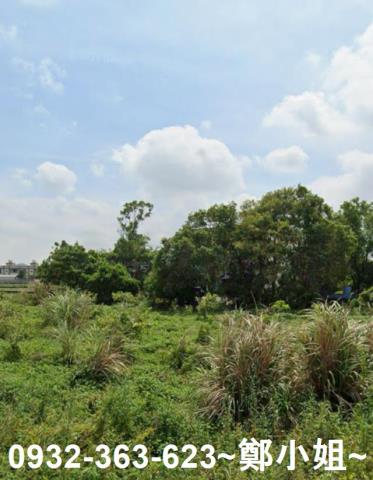 桃園蘆竹農地-5