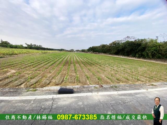台南農地-1