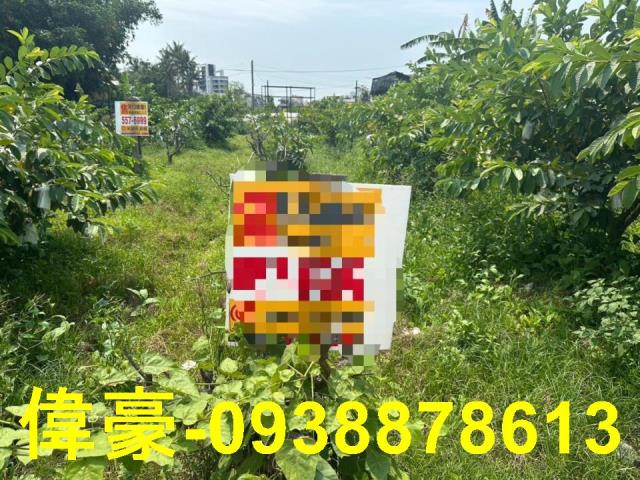 高雄燕巢農地-0