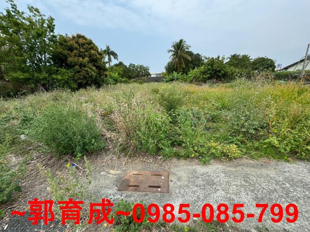 台南東山建地-1