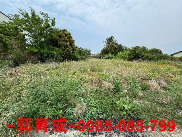 台南東山建地-5