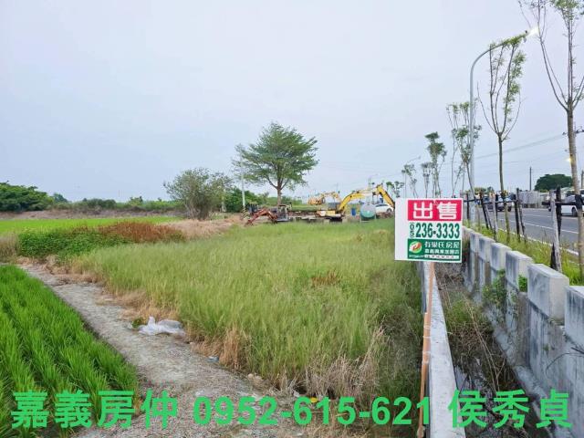 嘉義民雄農地-3