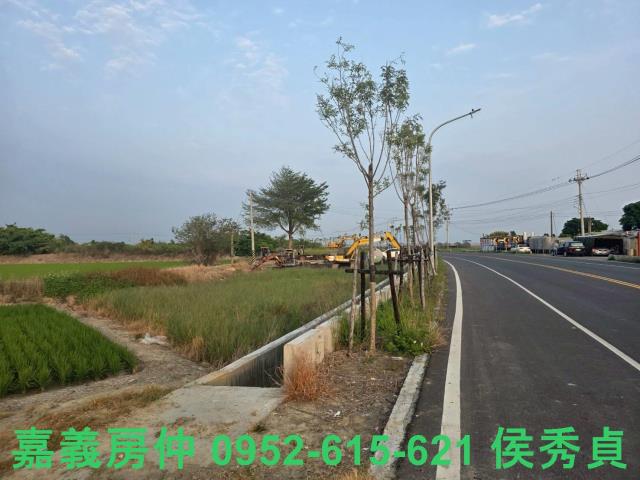 嘉義民雄農地-8