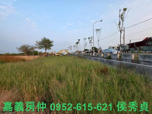 嘉義民雄農地-9