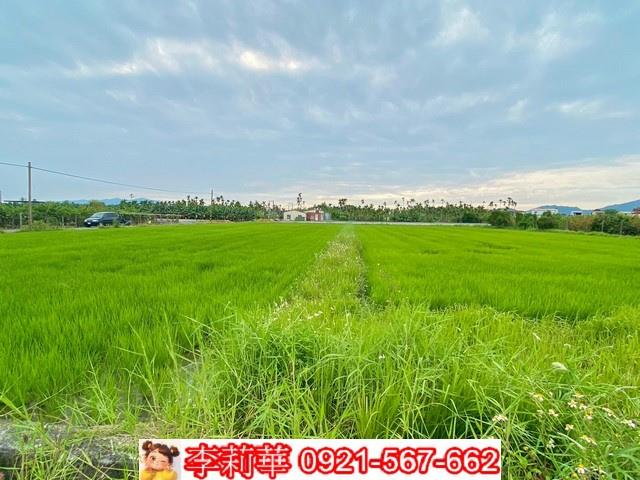 高雄美濃農地-10