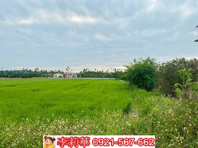 高雄美濃農地-11