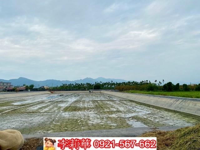 高雄美濃農地-7