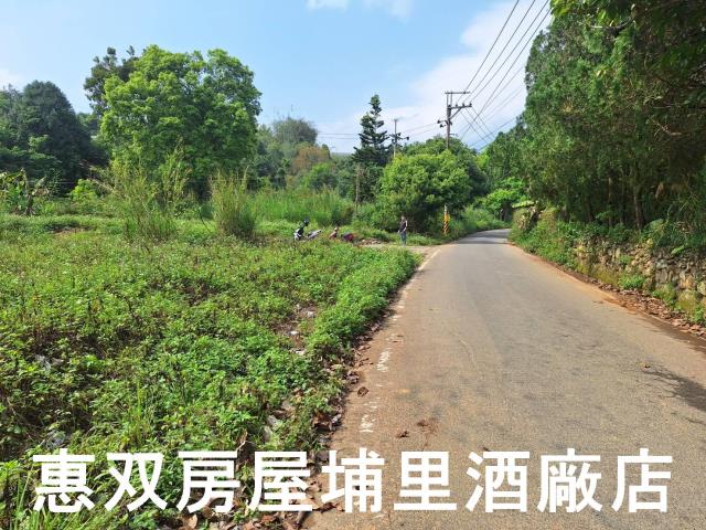 南投埔里農地-0