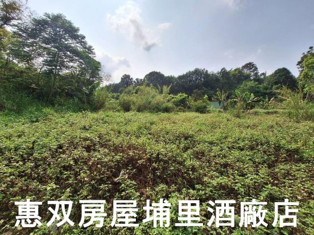 南投埔里農地-1