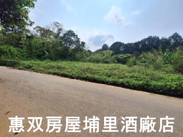 南投埔里農地-2