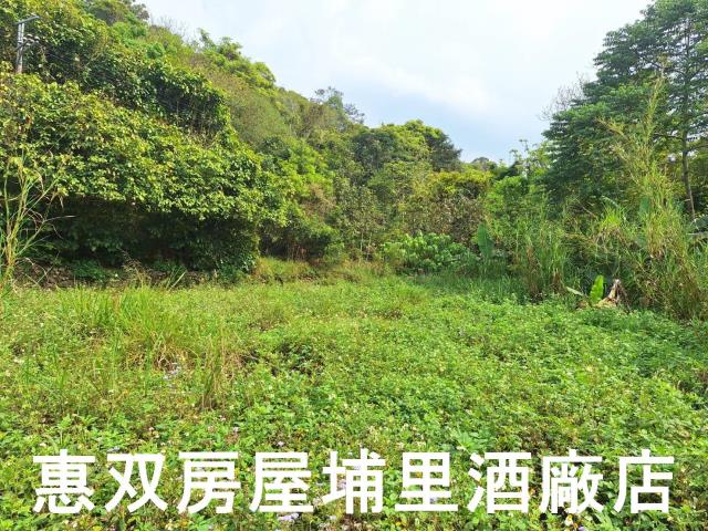 南投埔里農地-3