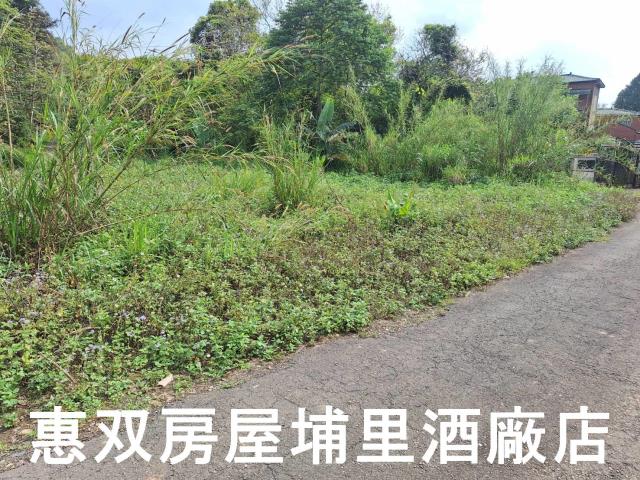 南投埔里農地-4