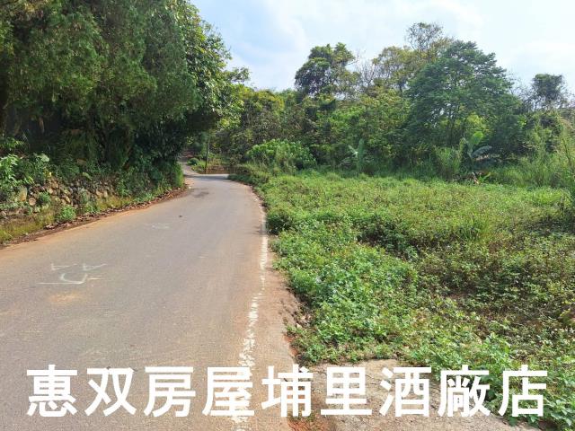 南投埔里農地-5