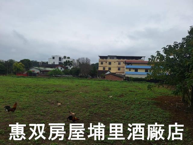 南投埔里建地-1
