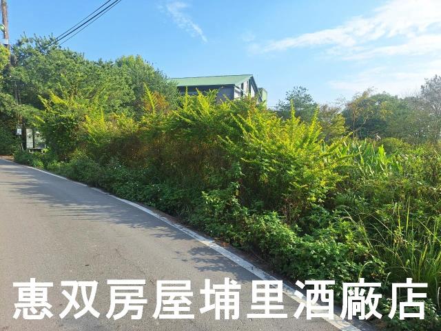 南投埔里農地-0