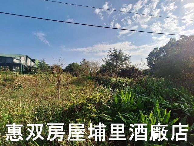 南投埔里農地-2