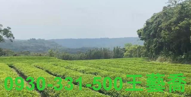 龍潭農地-1