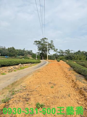 龍潭農地-5