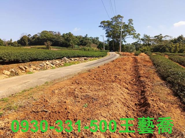 龍潭農地-6