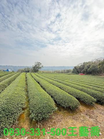 龍潭農地-7