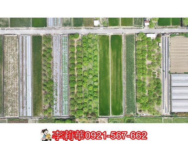 台南農地-3