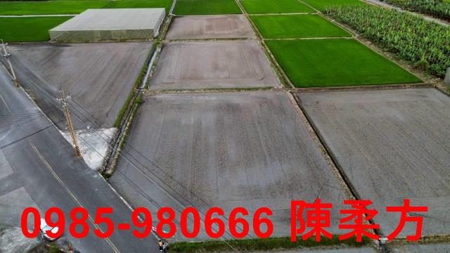 雲林林內農地-8
