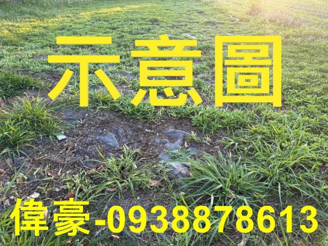 高雄阿蓮建地-0