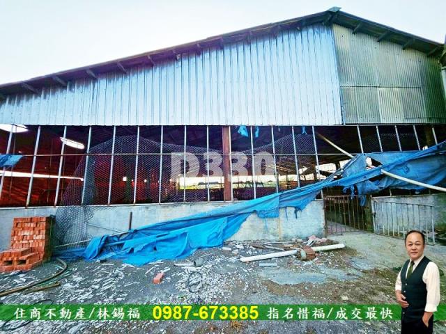 雲林水林農地-9