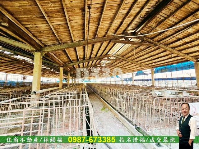 雲林水林農地-10