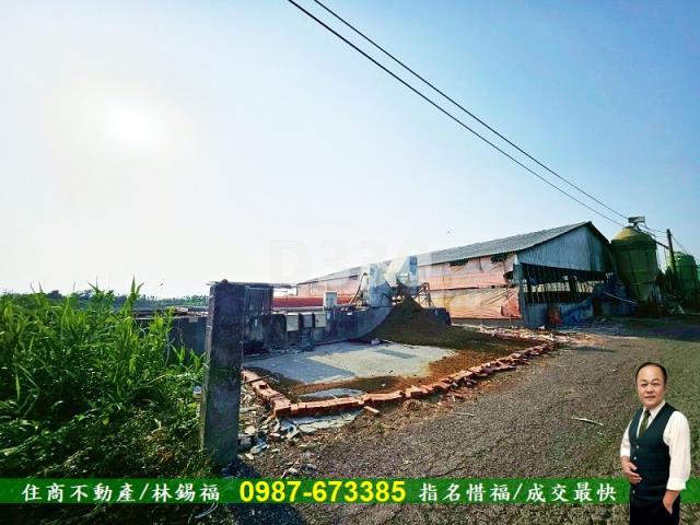 雲林水林農地-11