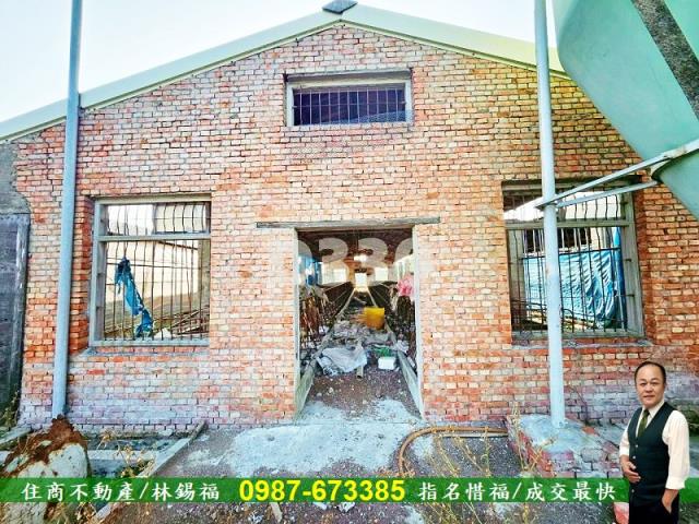 雲林水林農地-12