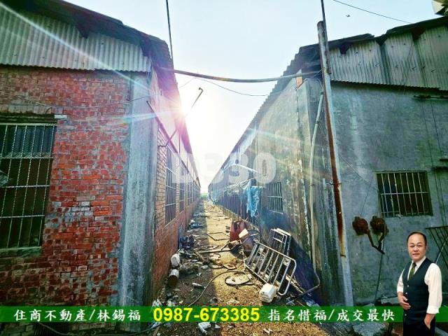 雲林水林農地-13