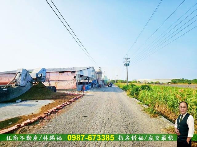 雲林水林農地-1