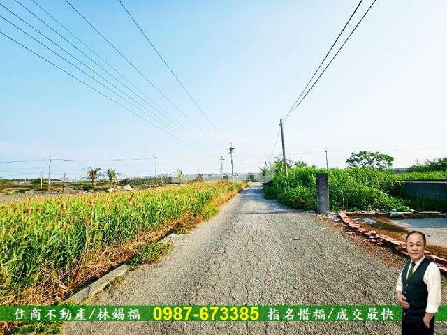 雲林水林農地-2