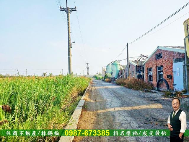 雲林水林農地-3