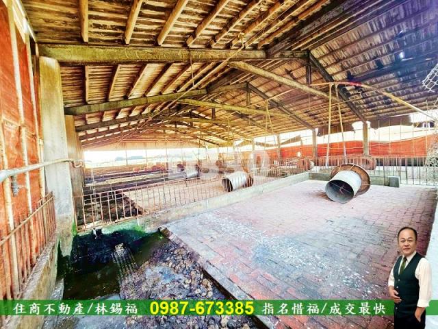 雲林水林農地-5