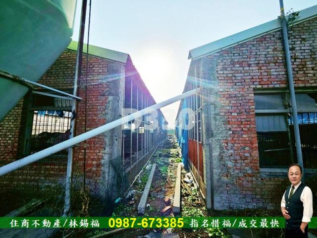 雲林水林農地-6