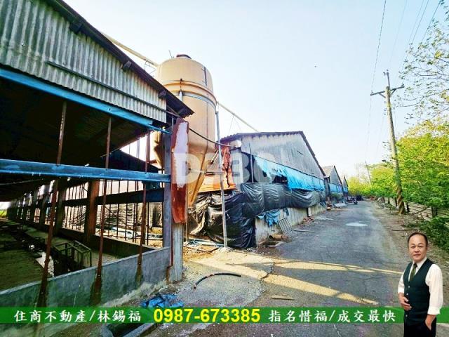 雲林水林農地-7