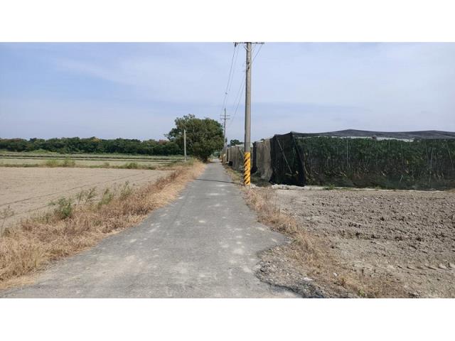 新市農地-6