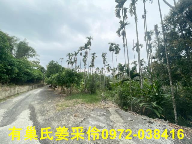 嘉義農地-10