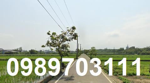 桃園新屋農地-3