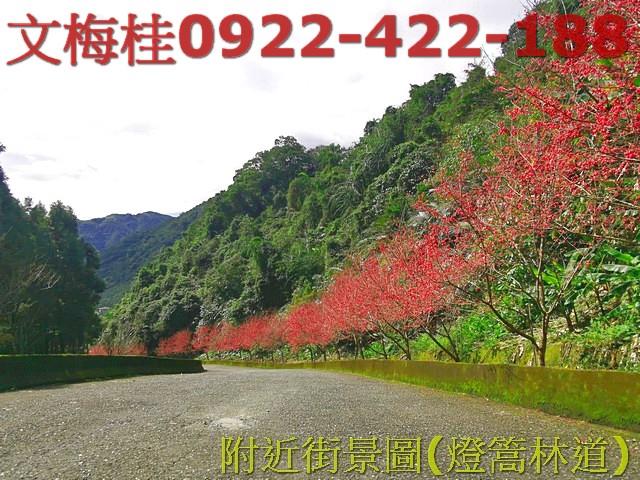 員山農地-0