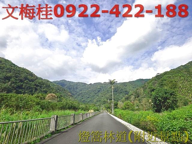 員山農地-6