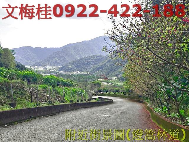 員山農地-7