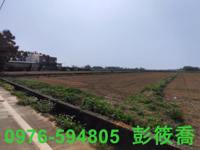 新屋農地-4