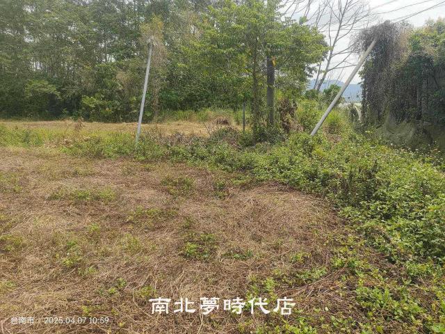 台南農地-1