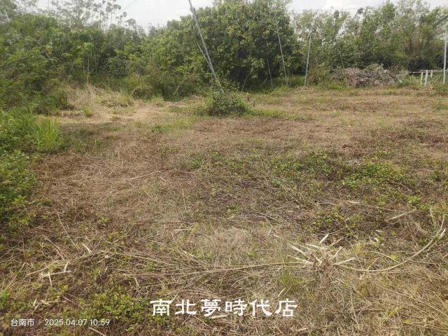 台南農地-2